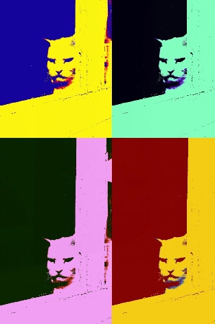 tribute-to-andy-warhol